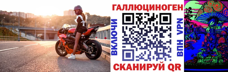 ОМГ ОМГ вход закладка Хвалынск Галлюциногенные грибы Psilocybine cubensis